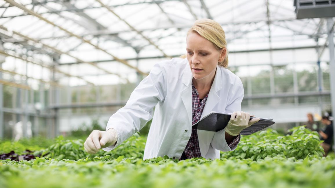 A young scientist is checking plants in a greenhouse.